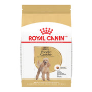 Royal Canin - Chien Adulte Caniche - Nourriture Sèche pour Chiens